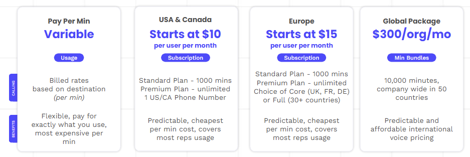 voice pricing options