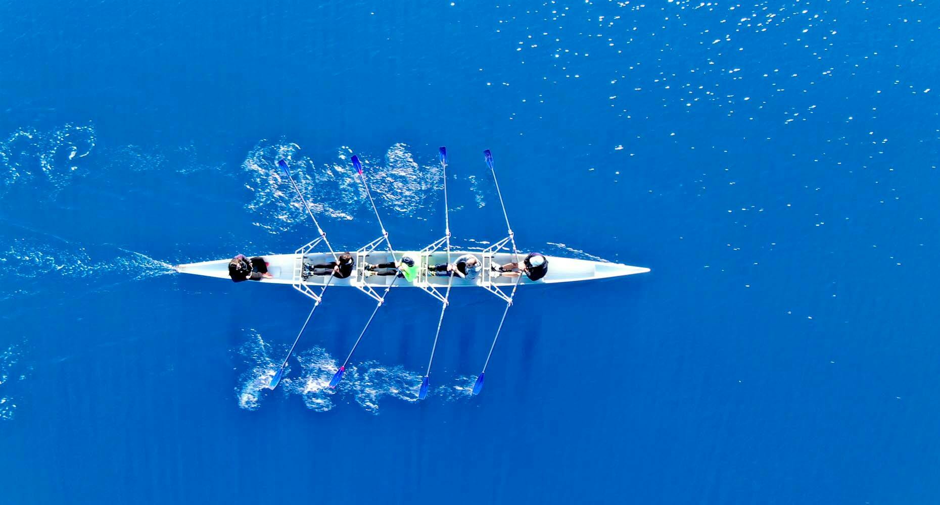 Crew rowers seen from above